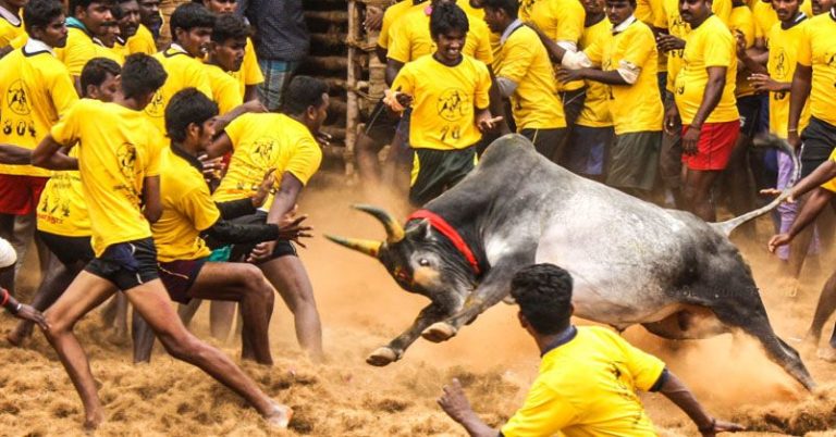 jallikattu-peta