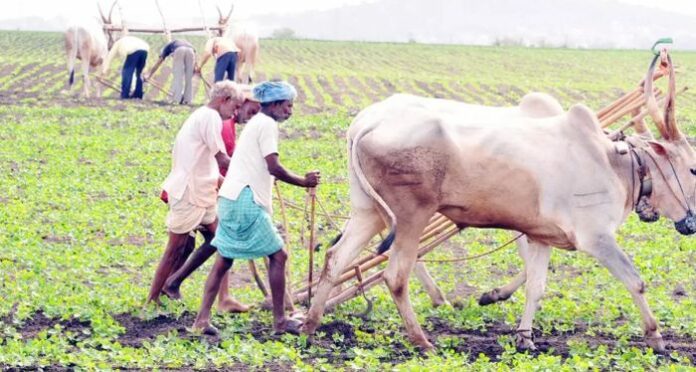 agriculture-loan